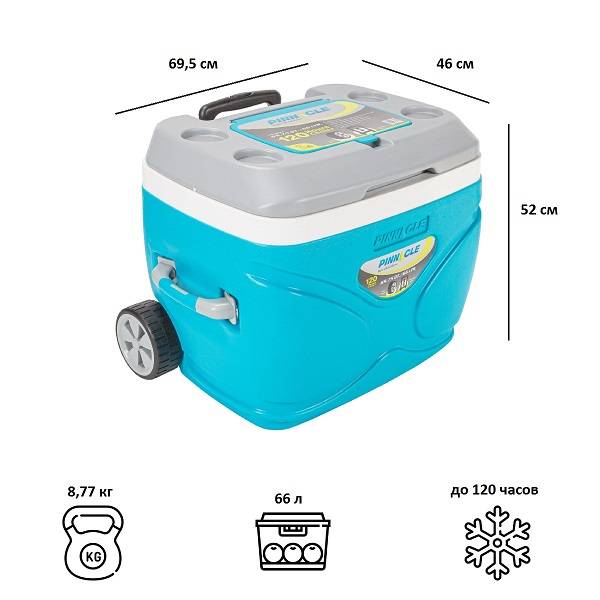 Термобокс Pinnacle TPX-3008 Prudence 66 L Термобокс Pinnacle TPX-3008 Prudence 66 L